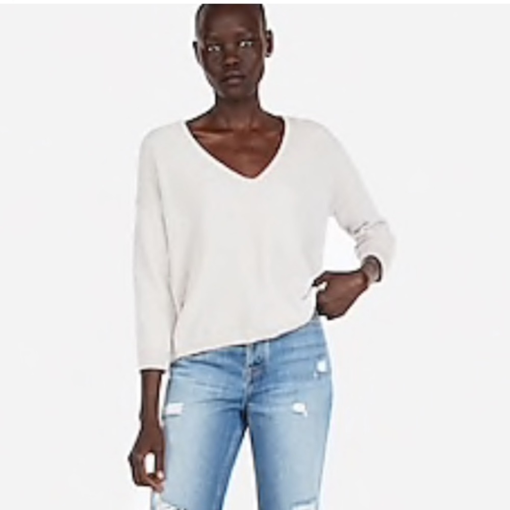 EXPRESS Velvet Chenille V-Neck Sweater
